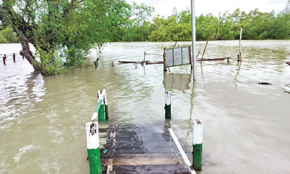 এবারও উপকূলকে বাঁচাল প্রকৃতির ঢাল সুন্দরবন