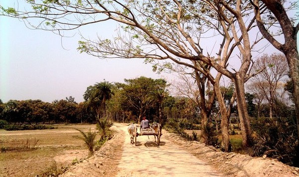 হারিয়ে যাওয়া গরুর গাড়ি!