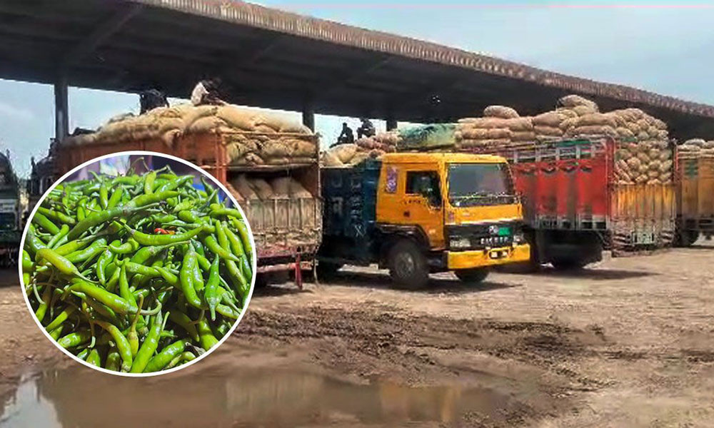 ৫২৮ মেট্রিক টন কাঁচা মরিচ আমদানি, তবুও দামে ঊর্ধ্বগতি