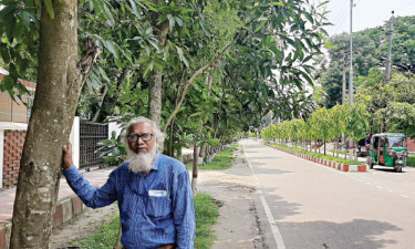 চার দশক ধরে গাছ রোপণ
