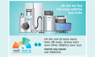 নীতি সহায়তার ফাঁদে পড়ে ঝুঁকিতে বিপুল বিনিয়োগ