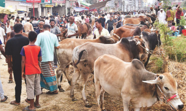 রাজধানীর হাটে ক্রেতার ভিড় বেড়েছে