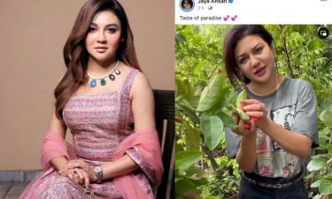 লাল জামরুল তুলছেন জয়া, দিলেন ভিডিও