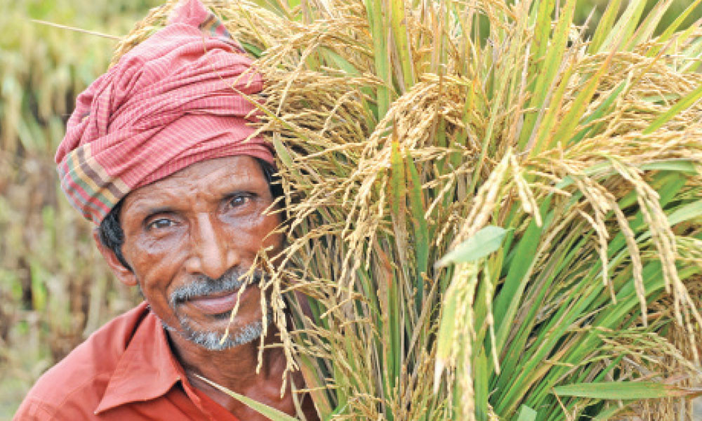 এইচএসসি প্রস্তুতি : কৃষিশিক্ষা প্রথম পত্র