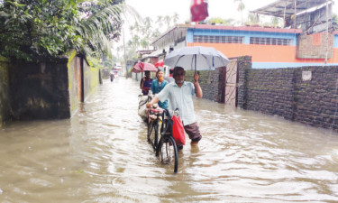 পানিবন্দি হাজারো পরিবার