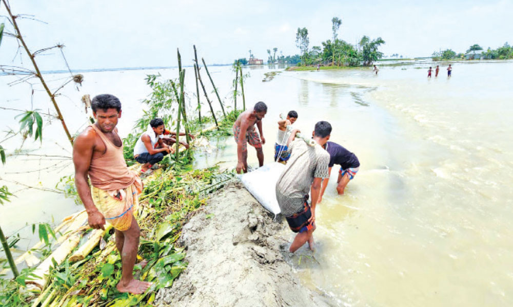 তিস্তায় বিলীনের পথে সরকারি বিদ্যালয়