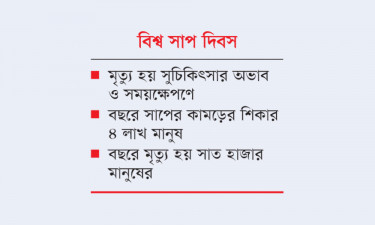 অ্যান্টিভেনম প্রয়োগের পরও ২০% রোগীর মৃত্যু