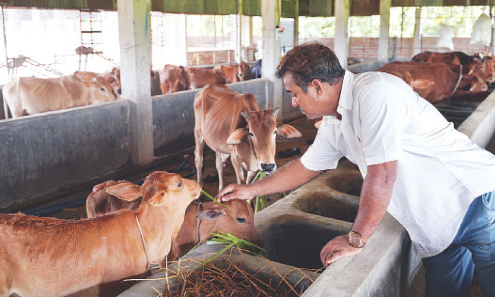 পঞ্চগড়ে কৃষি পর্যটন