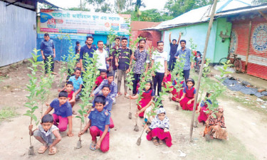 পঞ্চগড়ে বৃক্ষরোপণ ও গাছের চারা বিতরণ