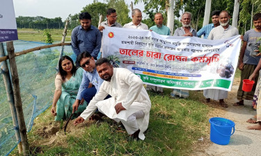 বজ্রাঘাত রোধে আতাইকুলায় ৪০০ তালগাছের চারা রোপণ