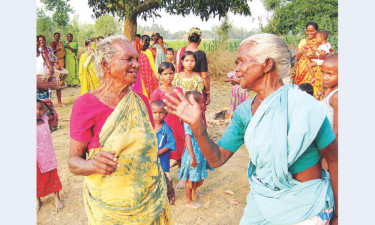 বাহাপরব