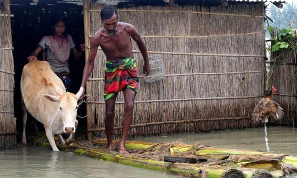 বন্যায় দুই হাজার কোটি টাকার মৎস্য ও প্রাণিসম্পদের ক্ষতি!