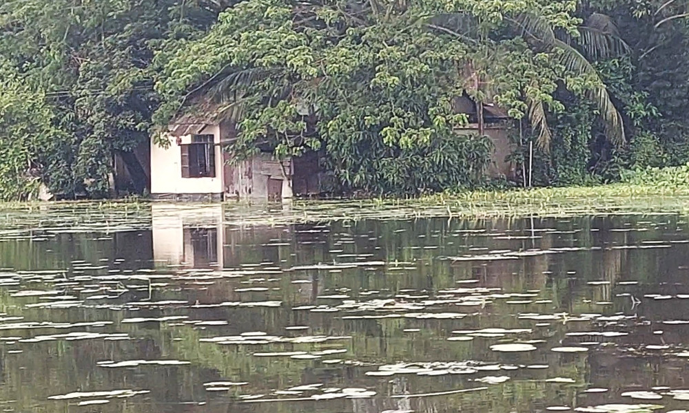 নোয়াখালীতে টানা বৃষ্টিতে বন্যা পরিস্থিতির অবনতি