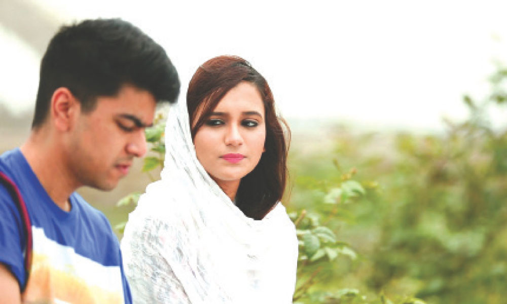 টিভি হাইলাইসট