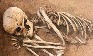 কালিয়াকৈরে অর্ধশতাধিক কঙ্কাল চুরি