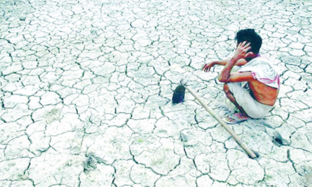 পঞ্চম শ্রেণি : প্রাথমিক বিজ্ঞান