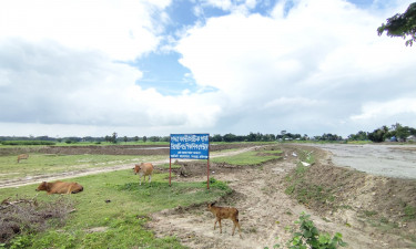 পিকনিক স্পট তৈরির সাইনবোর্ড টানিয়ে ফসলি জমির মাটি বিক্রি