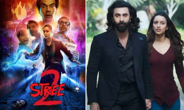 আয়ের রেকর্ড, ‘অ্যানিমেল’-কে টপকে গেল ‘স্ত্রী ২’