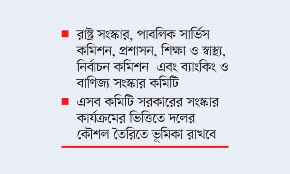 সংস্কারের বিষয়ে দলীয় অবস্থান ঠিক করতে বিএনপির ৬ কমিটি