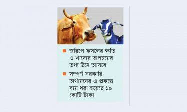 গরু-ছাগল কত ধান-গম খায় জরিপ করবে বিবিএস