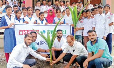 শহীদ স্মরণে গঙ্গাচড়ায় গাছের চারা রোপণ