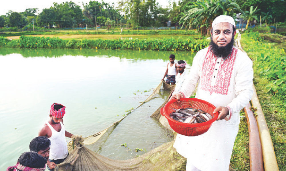 মাছ চাষে জাহাঙ্গীরের বাজিমাত