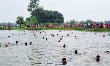 হাঁস যে ধরবে তার