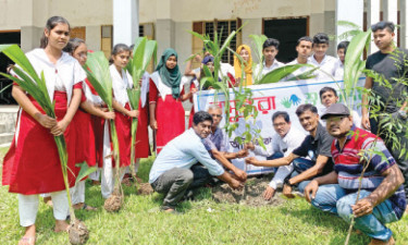 শহীদ স্মরণে আগৈলঝাড়ায় স্কুলে গাছের চারা রোপণ