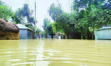 পানি কমলেও তিস্তার ভাঙনে বাড়ছে শঙ্কা