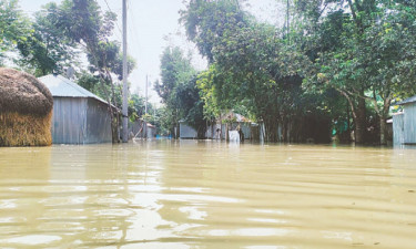 পানি কমলেও তিস্তার ভাঙনে বাড়ছে শঙ্কা