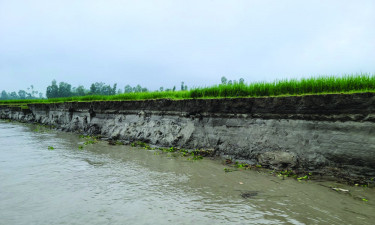 তিস্তার ভাঙনে নদীতে বিলীন ১০ বসতবাড়ি, হুমকির মুখে শতাধিক