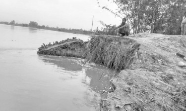 তিস্তায় ২০ পয়েন্টে নদীভাঙন