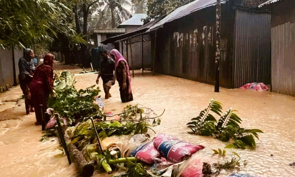 শেরপুরে বন্যা, আরো ৩ জেলায় শঙ্কা