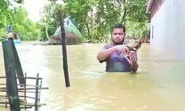 শেরপুরে তিন উপজেলায় বন্যা : দুজনের মৃত্যু, রংপুরে ভাঙন