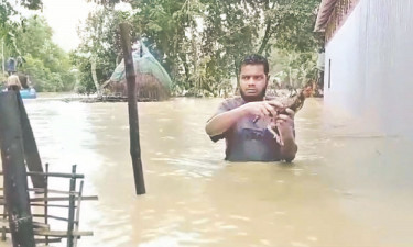 শেরপুরে তিন উপজেলায় বন্যা দুজনের মৃত্যু, রংপুরে ভাঙন