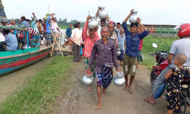 এক ঘণ্টার হাটে প্রতিদিন বিক্রি হয় ৮০০ লিটার দুধ