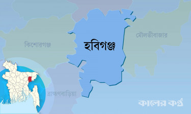 ভারতে অনুপ্রবেশের চেষ্টা, নারী-শিশুসহ আটক ৮