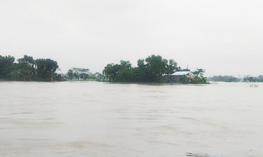 নেত্রকোনার উপদাখালী নদীর পানি বিপৎসীমার ওপর, ১৮৬ বিদ্যালয় প্লাবিত