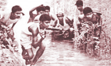 গেরিলা অপারেশন