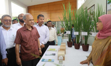 কৃষির উন্নতি নিয়ে সরকার কাজ করছে : কৃষি উপদেষ্টা