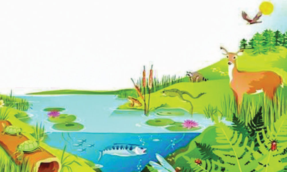 সপ্তম শ্রেণি : বিজ্ঞান