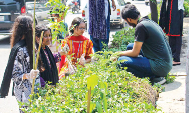 বসুন্ধরা শুভসংঘের উদ্যোগে মিরপুরে গাছের চারা রোপণ