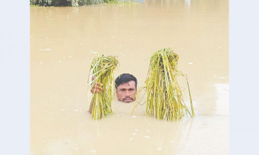 ঘরহারাদের ত্রাণের জন্য অপেক্ষা