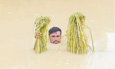 বন্যা পরিস্থিতি : ঘরহারাদের ত্রাণের জন্য অপেক্ষা