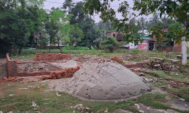 মহিলা দল নেত্রীর বিরুদ্ধে জমি দখলের অভিযোগ