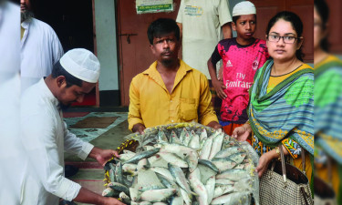 নোয়াখালীতে ৬৫ কেজি ইলিশ জব্দ, গেলো এতিমখানায়