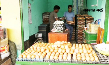 সরকার নির্ধারিত মূল্যে বিক্রি হচ্ছে না ডিম, হাত বদলে বাড়ছে দাম