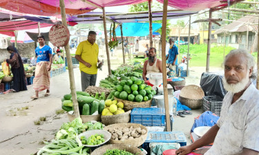 কাঁচা বাজারে আগুন থামেনি এখনও, সবকিছুর দাম ঊর্ধ্বমুখী