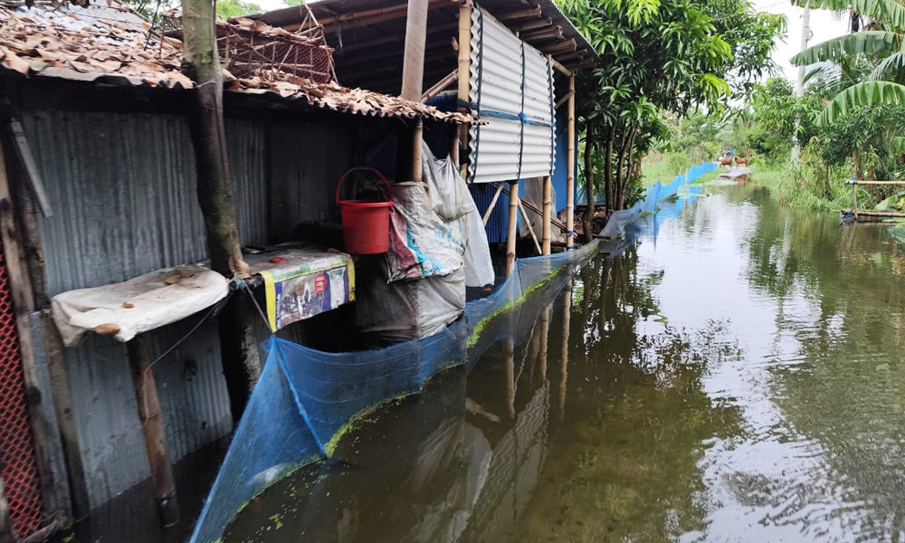 খুলনা বিভাগের ১৫ লাখ মানুষ দেড় মাস পানিবন্দি