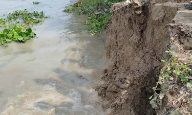 পায়রার ভাঙনে নিঃস্ব অর্ধশত পরিবার, স্থায়ী ব্যবস্থার দাবি